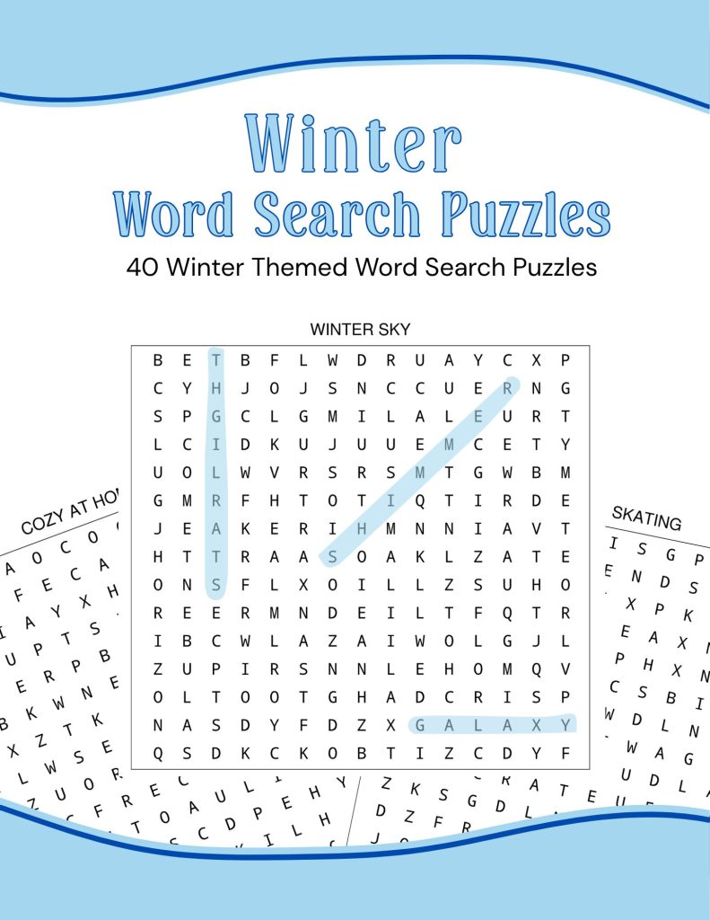 Winter Word Search Book Cover Image